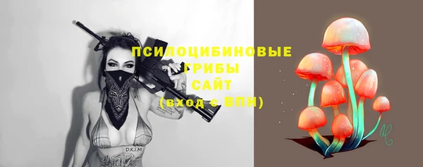 кокс Алексин