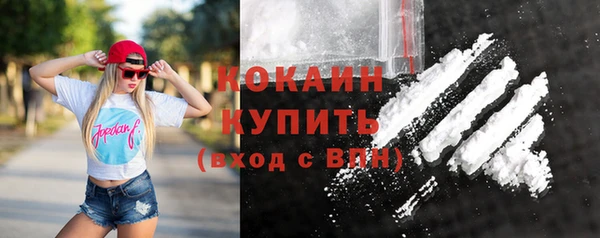 кокс Алексин