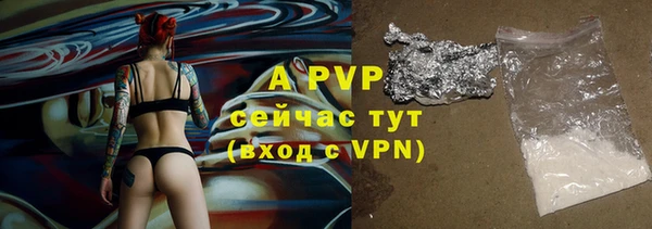 индика Саяногорск