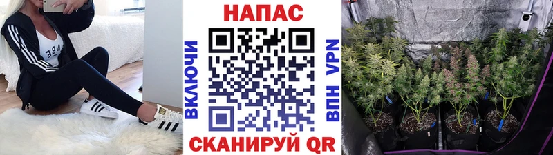 Марихуана MAZAR даркнет клад Анадырь